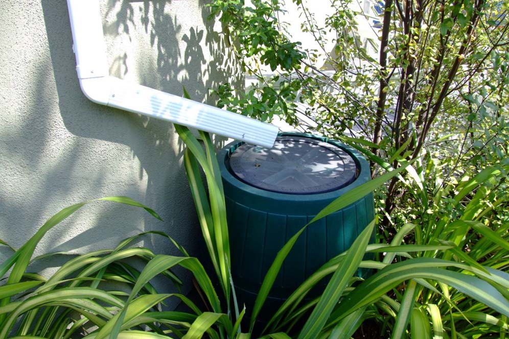 Rain Gutter Leads to Barrel