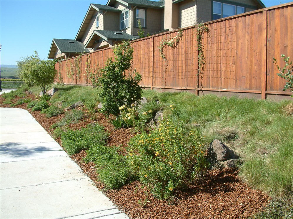 Side Yard Redwood Fence