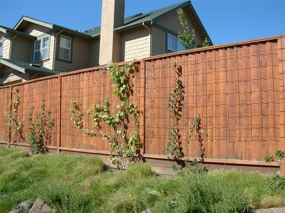 Redwood Fence Side