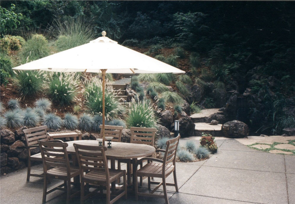 Umbrella and Patio