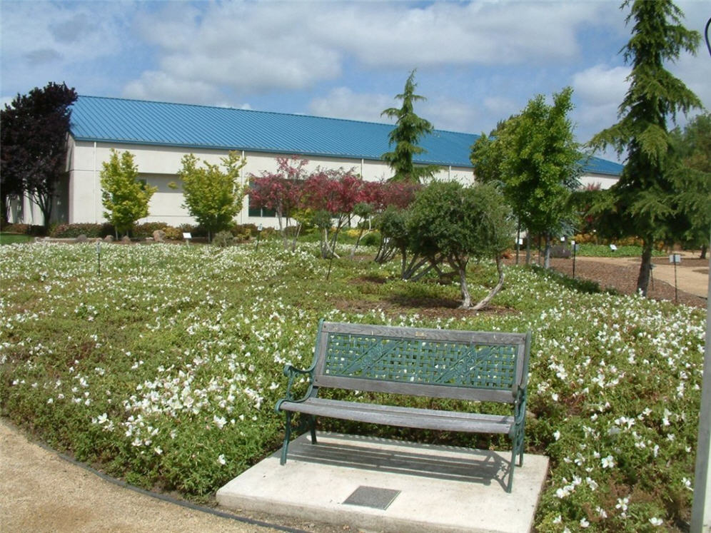 Dublin Demo Garden 5