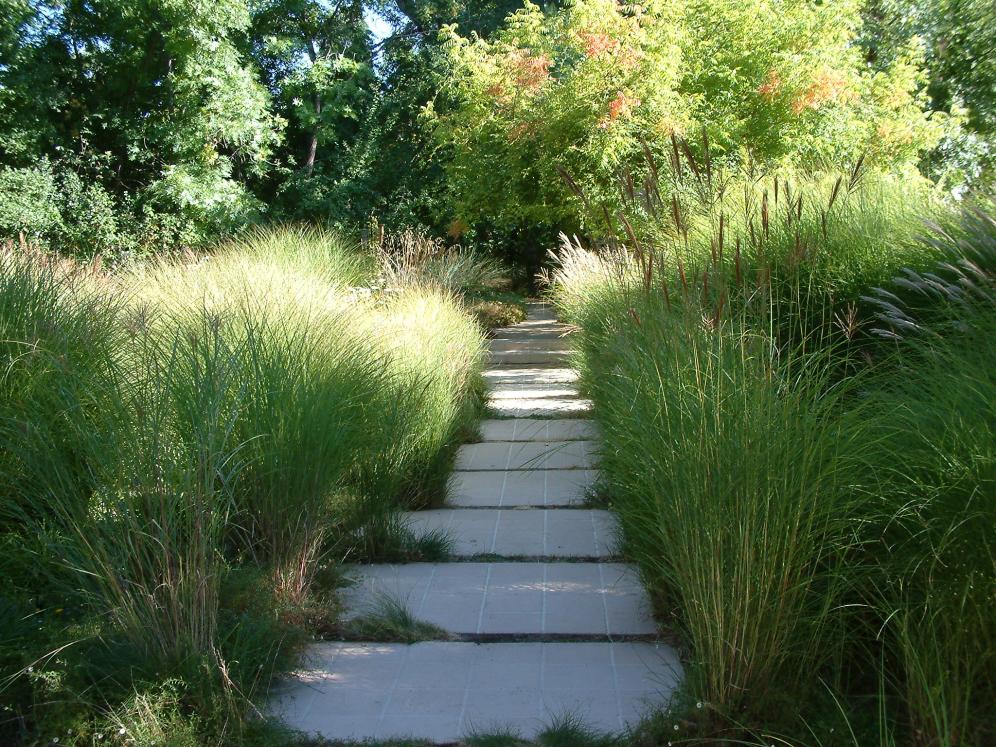 Ornamental Grass Garden6