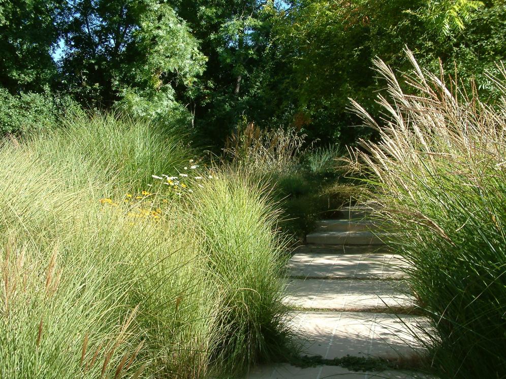 Ornamental Grass Garden7