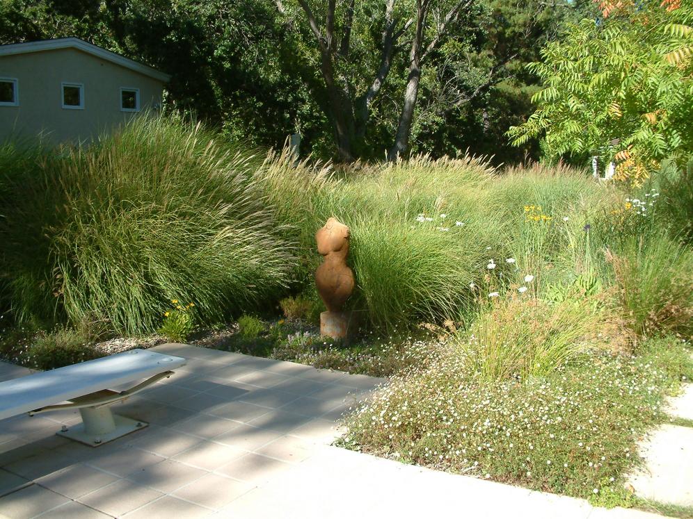 Ornamental Grass Garden12