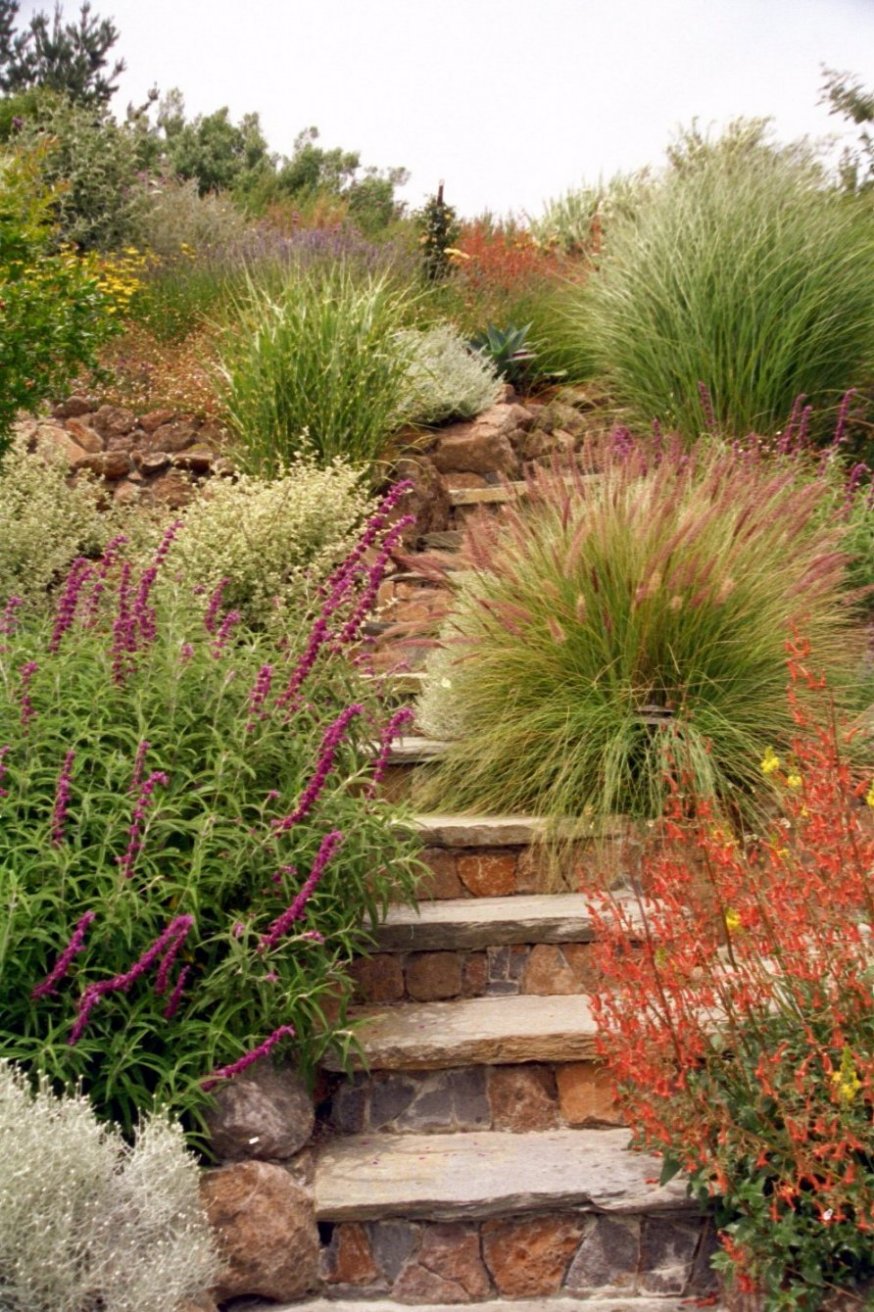 Hillside with Stone Staircase