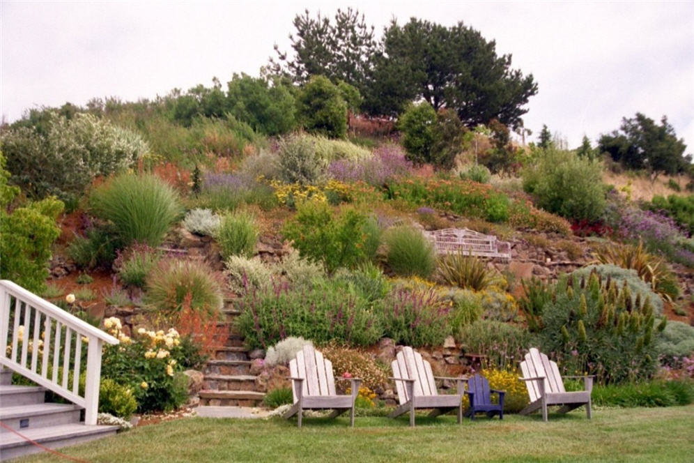 Hillside with Chairs