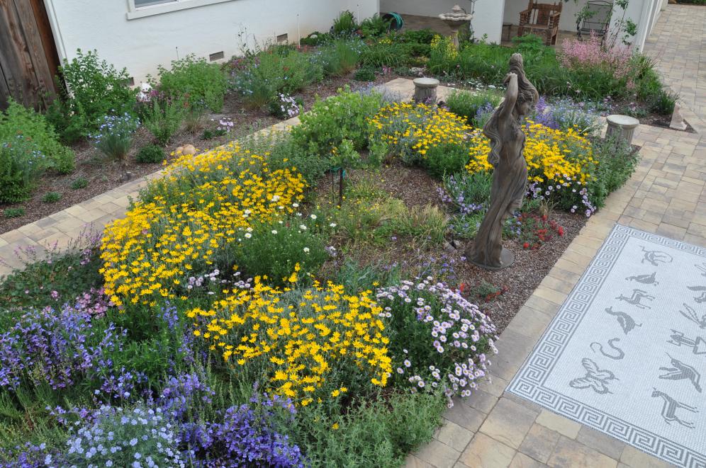 Native Color Garden B6