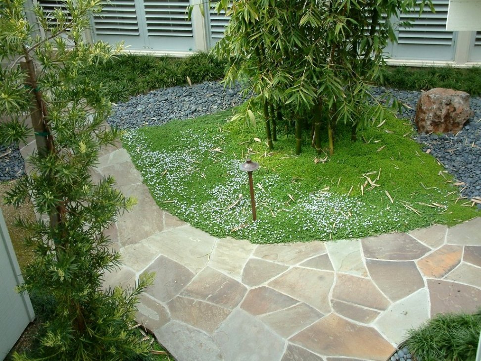 Japanese Courtyard in California