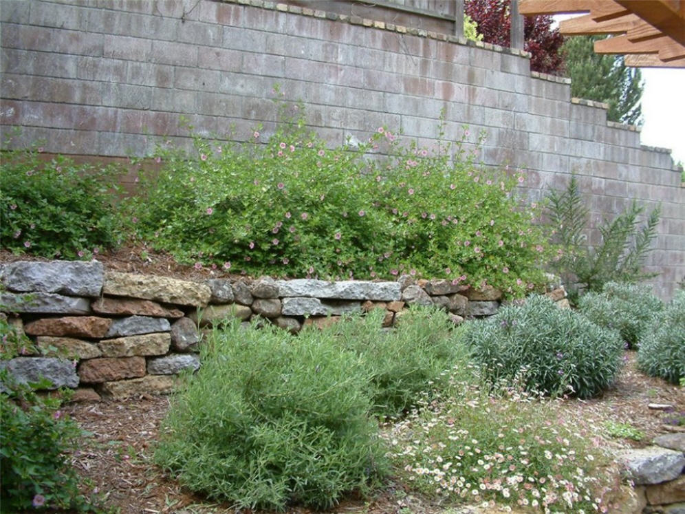 Terrace Detail 2
