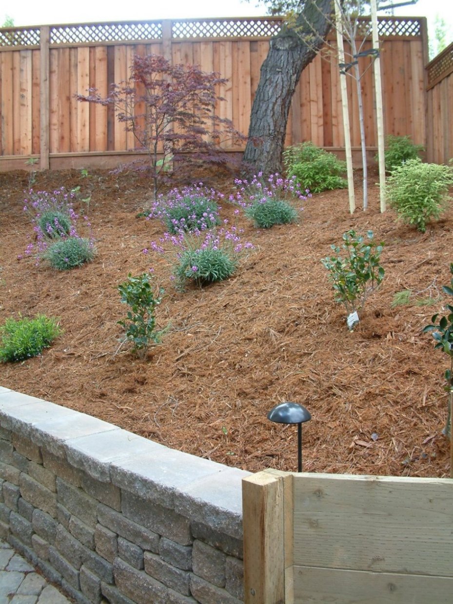 Hillside and Mulch