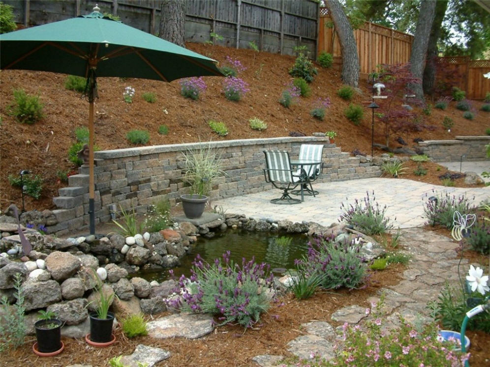 Patio and Pond Combo