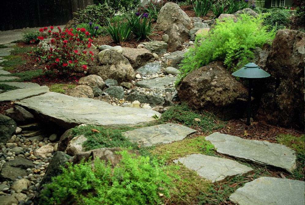 Steps Over Dry Creek Bed