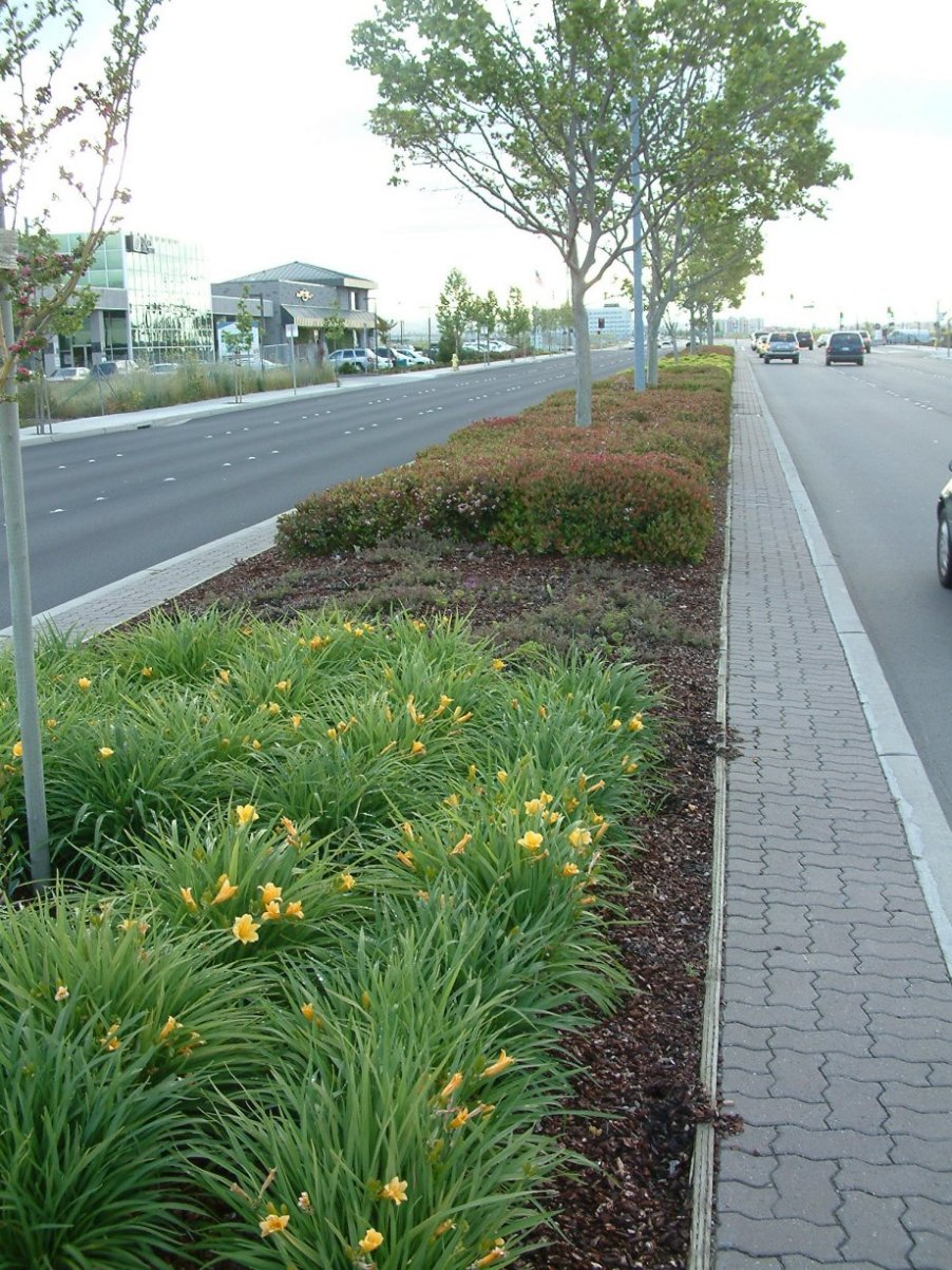 Livermore Median Two