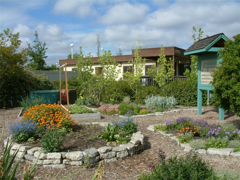 Livermore Compost Garden 3