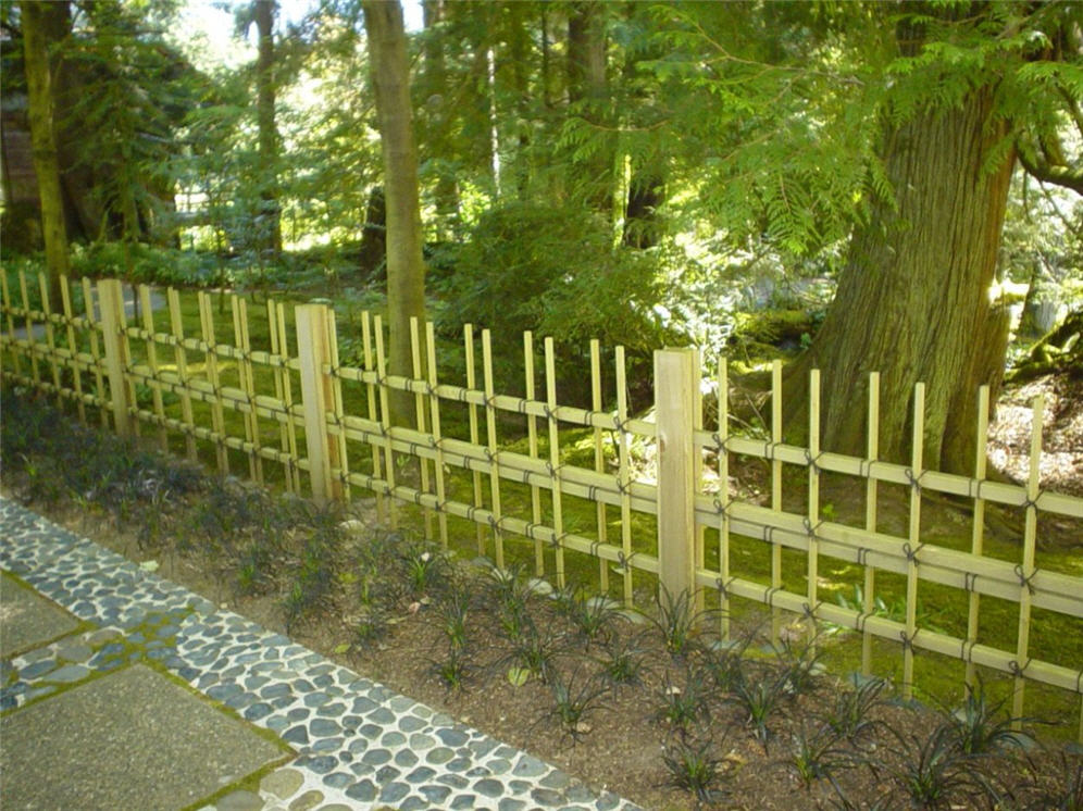 Bamboo Fence