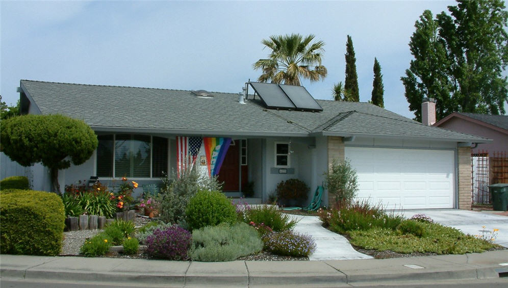 Garden and Flags